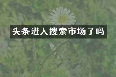 头条进入搜索市场了吗