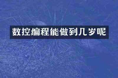 数控编程能做到几岁呢