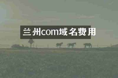 兰州com域名费用