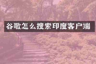 谷歌怎么搜索印度客户端
