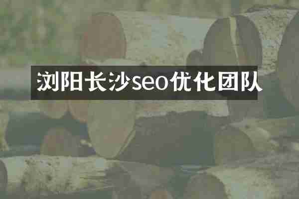 浏阳长沙seo优化团队