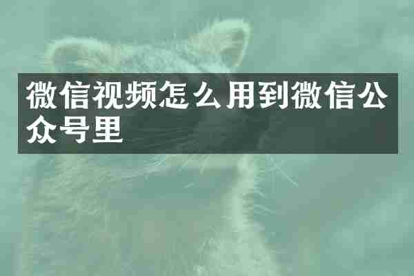 微信视频怎么用到微信公众号里