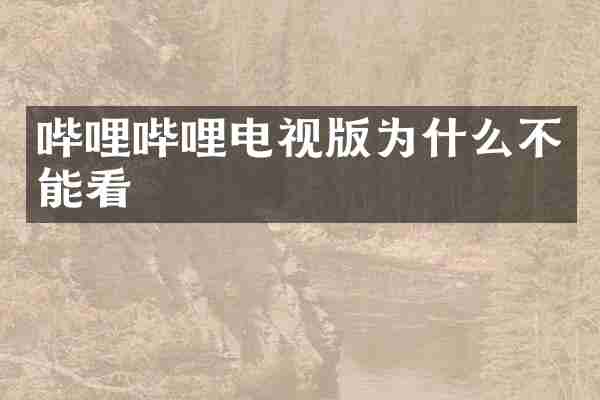 哔哩哔哩电视版为什么不能看