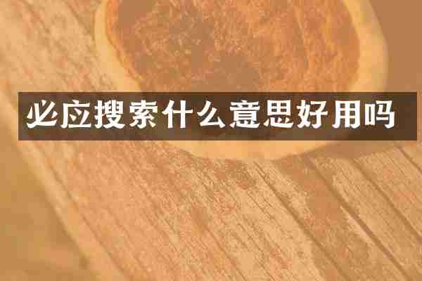 必应搜索什么意思好用吗