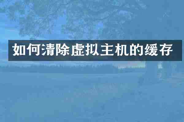 如何清除虚拟主机的缓存