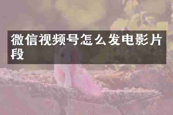 微信视频号怎么发电影片段