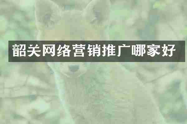 韶关网络营销推广哪家好