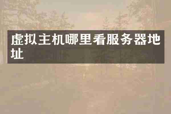 虚拟主机哪里看服务器地址
