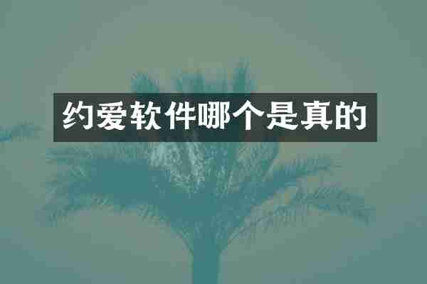 软件哪个是真的