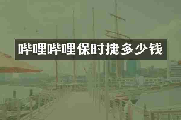 哔哩哔哩保时捷多少钱