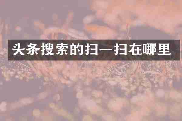 头条搜索的扫一扫在哪里