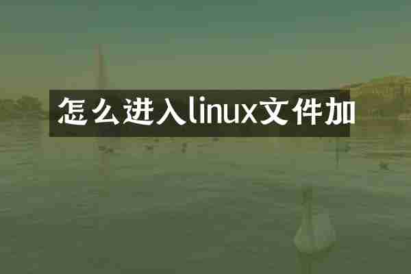 怎么进入linux文件加
