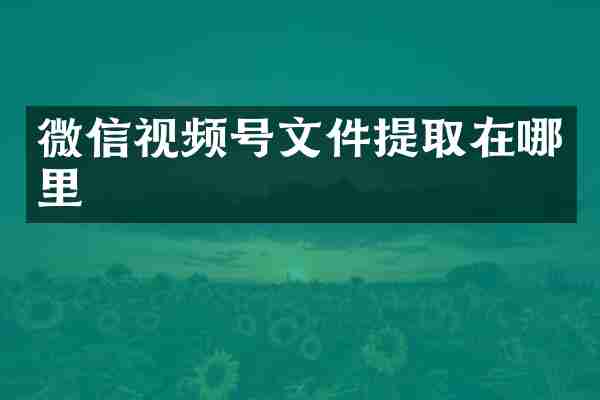 微信视频号文件提取在哪里