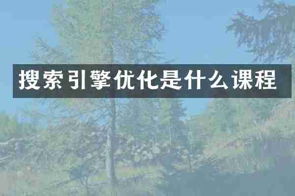 搜索引擎优化是什么课程