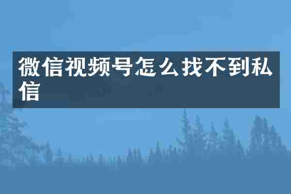 微信视频号怎么找不到私信