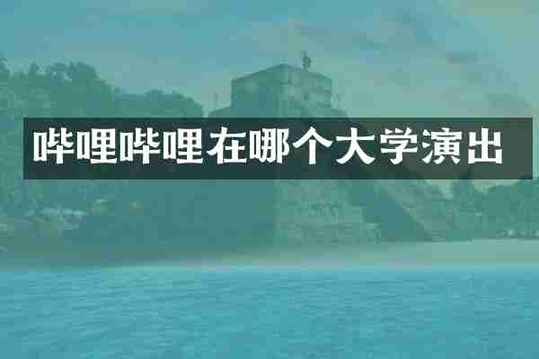 哔哩哔哩在哪个大学演出