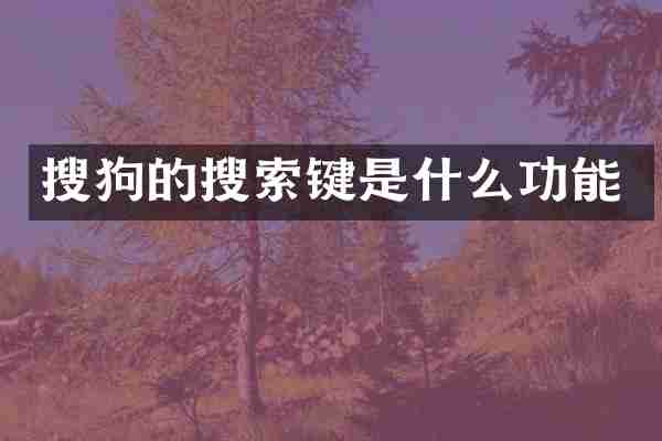 搜狗的搜索键是什么功能