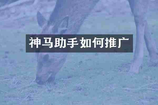 神马助手如何推广