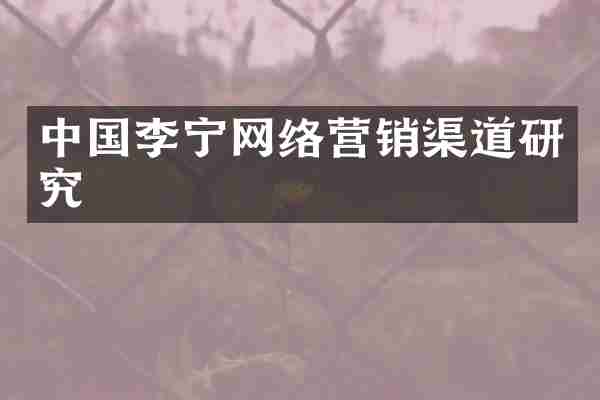 中国李宁网络营销渠道研究