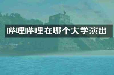 哔哩哔哩在哪个大学演出