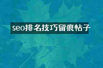 seo排名技巧留痕帖子