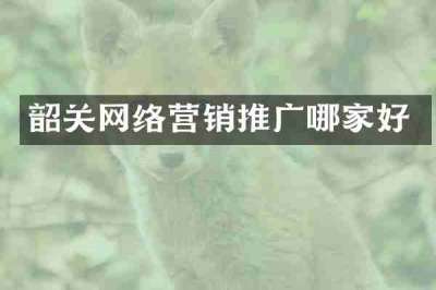韶关网络营销推广哪家好