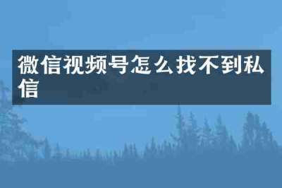 微信视频号怎么找不到私信