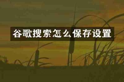 谷歌搜索怎么保存设置