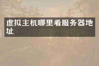 虚拟主机哪里看服务器地址