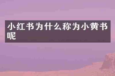 小红书为什么称为小黄书呢