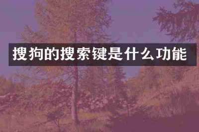 搜狗的搜索键是什么功能