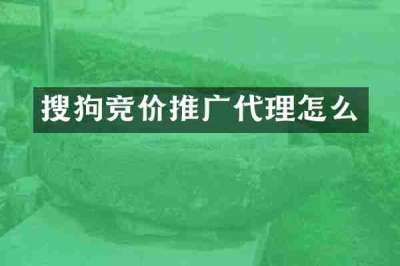 搜狗竞价推广代理怎么