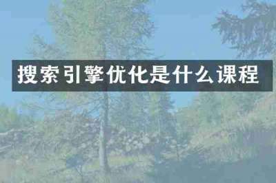 搜索引擎优化是什么课程
