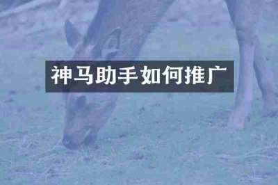 神马助手如何推广
