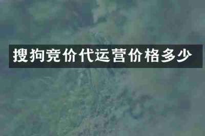 搜狗竞价代运营价格多少