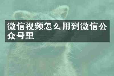 微信视频怎么用到微信公众号里