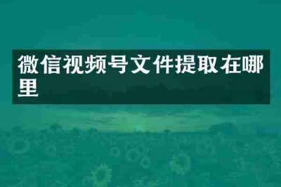 微信视频号文件提取在哪里