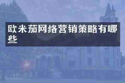 欧米茄网络营销策略有哪些