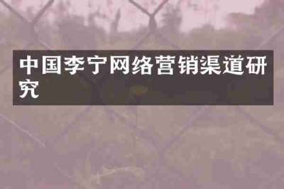 中国李宁网络营销渠道研究
