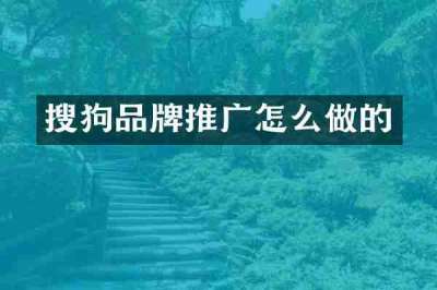 搜狗品牌推广怎么做的