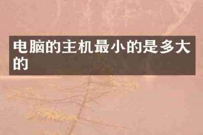 电脑的主机最小的是多大的