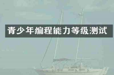 青少年编程能力等级测试