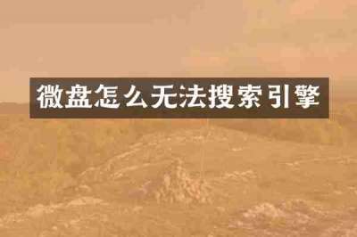 微盘怎么无法搜索引擎