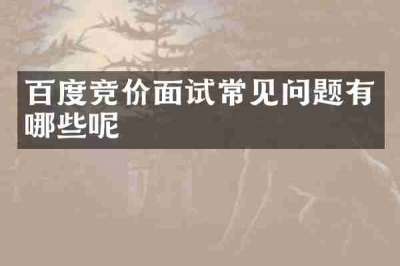 百度竞价面试常见问题有哪些呢