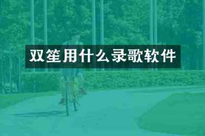 双笙用什么录歌软件