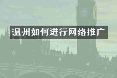 温州如何进行网络推广