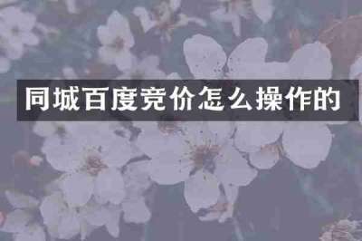 同城百度竞价怎么操作的