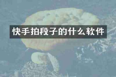 快手拍段子的什么软件