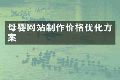 母婴网站制作价格优化方案