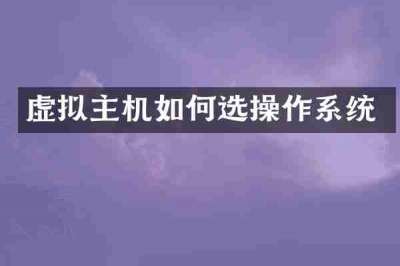 虚拟主机如何选操作系统